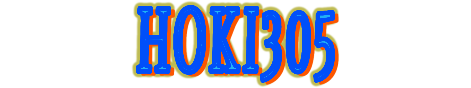 HOKI305